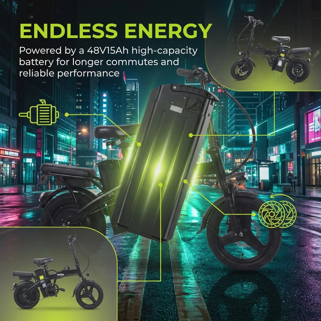 Folding Electric Bike With Rear Seat And 48V Battery