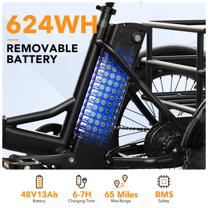 Qlife TRIKER PLUS EB11 Fat Tire Electric Tricycle with Baskets