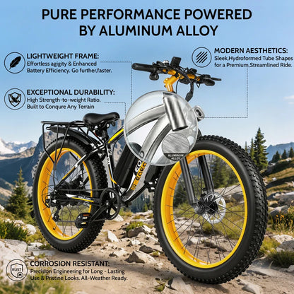 EOEOTWO supplier graphic showing throttle, cruise, pedal assist and walk modes