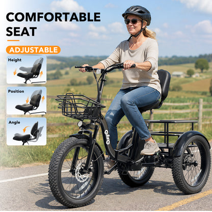 Qlife TRIKER PLUS EB11 Fat Tire Electric Tricycle with Baskets