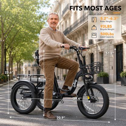 Qlife TRIKER PLUS EB11 Fat Tire Electric Tricycle with Baskets