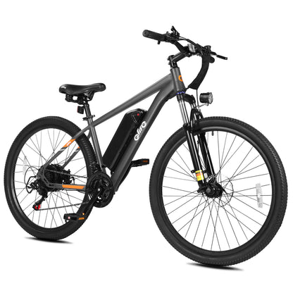 Gray Qlife RACER electric mountain bike