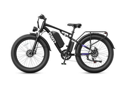 Qlife RACER MAX Dual Motor Fat Tire Electric Bike