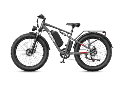 Qlife RACER MAX Dual Motor Fat Tire Electric Bike