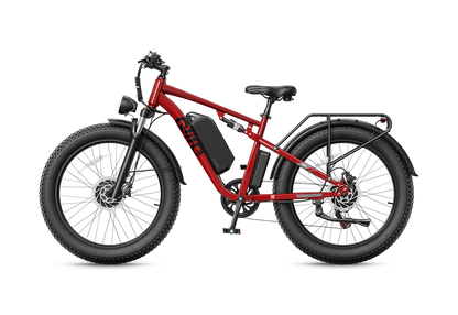 Qlife RACER MAX Dual Motor Fat Tire Electric Bike