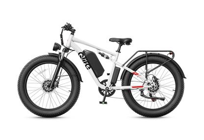 Qlife RACER MAX Dual Motor Fat Tire Electric Bike