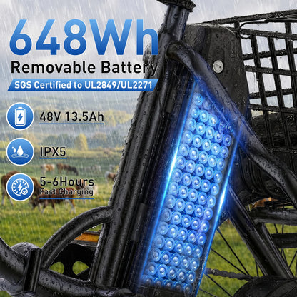 Vivi FatGo1 750W Electric Tricycle for Adults With Basket