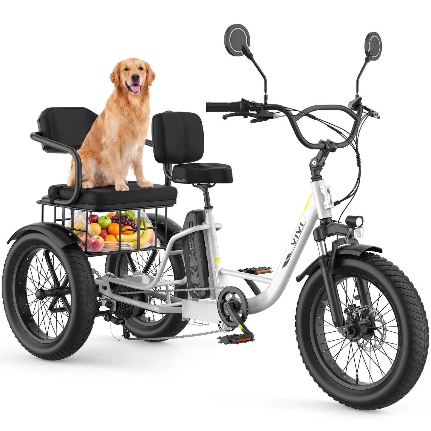 Vivi FAM01 750W Electric Tricycle For Adults With Battery