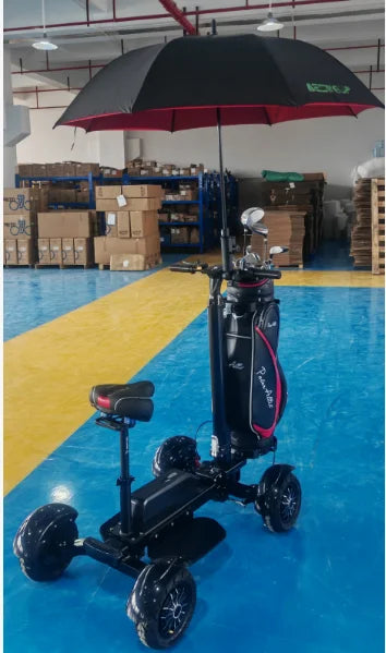 AESWGOF 2400W Electric Golf Cart High Power Foldable Scooter