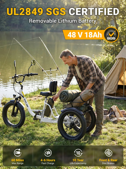 Vivi FAM01 750W Electric Tricycle For Adults With Battery