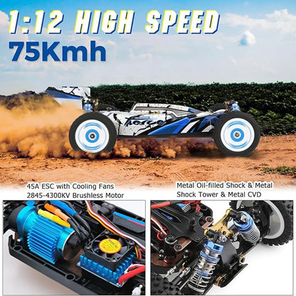 WLtoys Brushless RC Car with Independent ESC and Remote Control