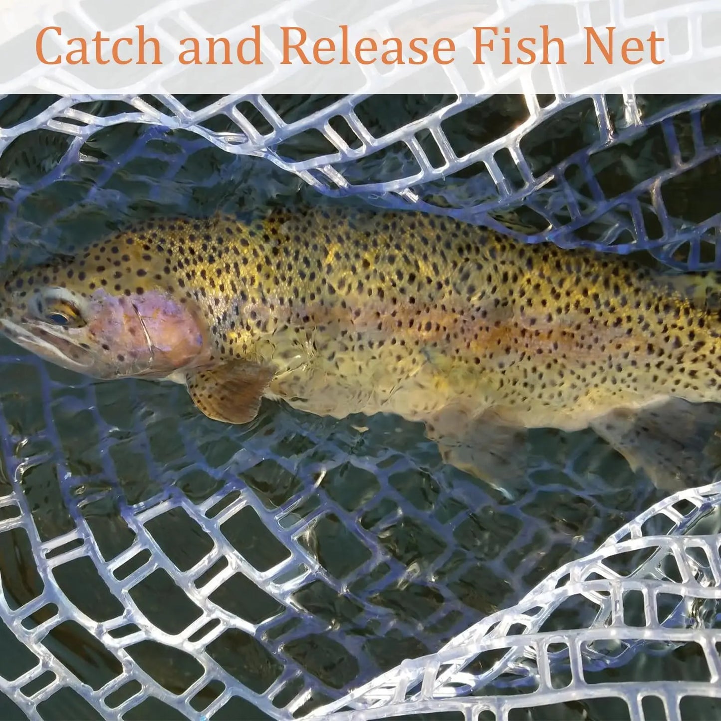 Wooden Frame Fly Fishing Landing Net With Knotless Rubber Mesh Fish Friendly