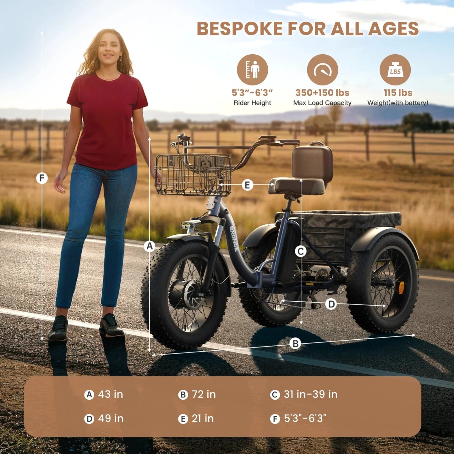 QRONGE Lava Electric Tricycle Folding Fat Tire Trike