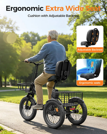 Eilleo Spacewalk Folding Electric Trike With 1200W Motor
