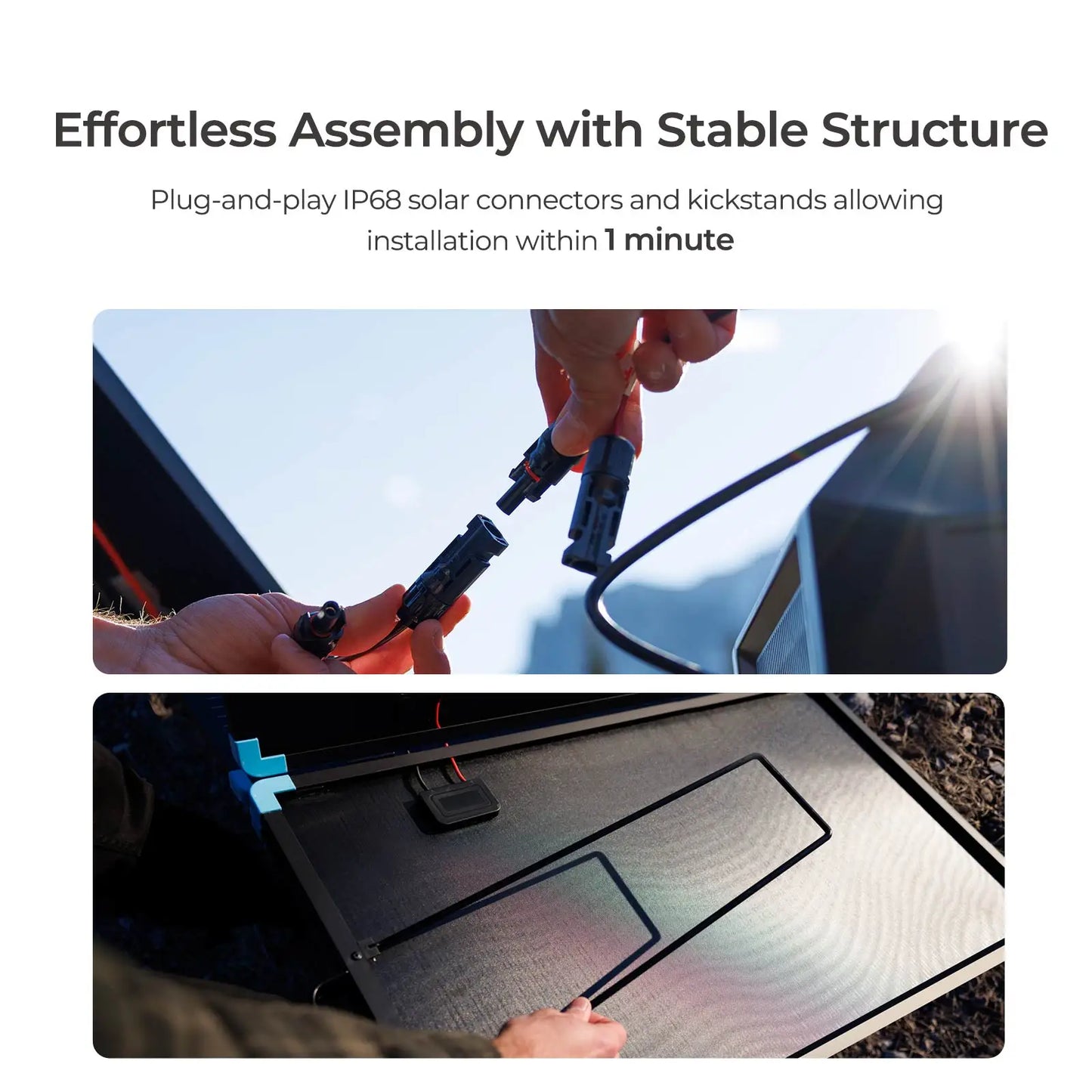 Renogy 220W Foldable Solar Panel Suitcase Portable High Efficiency IP67