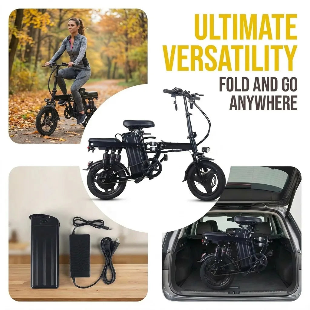 Electric Folding Bike A10-1 400W Motor And Removable 48V Battery