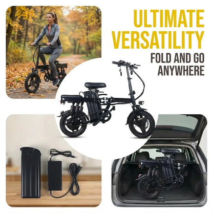 Electric Folding Bike A10-1 400W Motor And Removable 48V Battery
