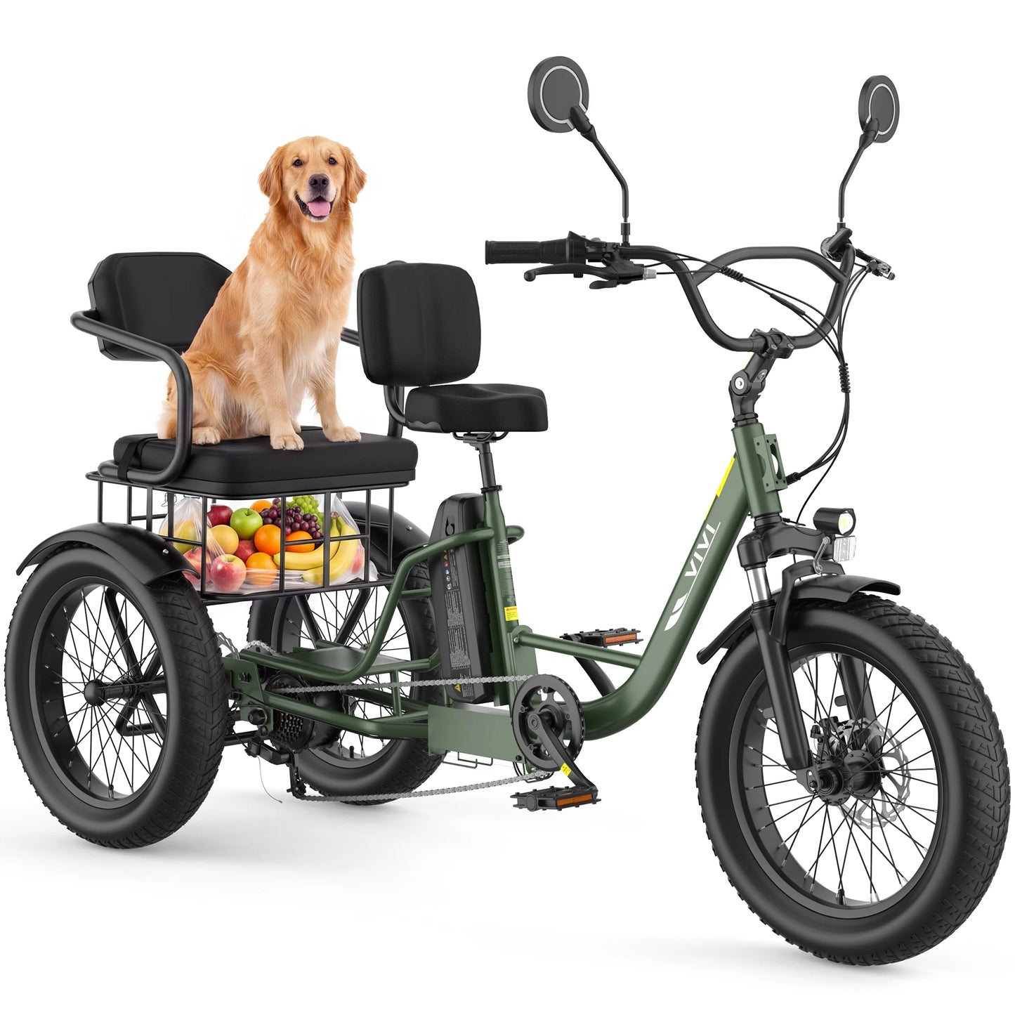Vivi FAM01 750W Electric Tricycle For Adults With Battery