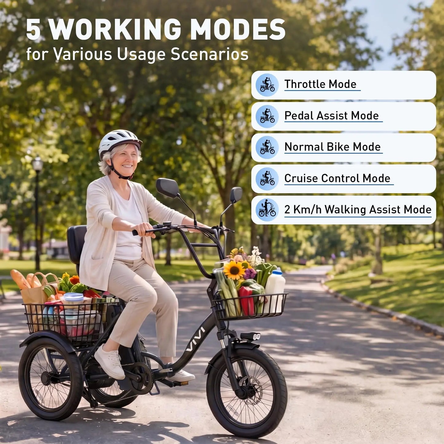Vivi FatGo1 750W Electric Tricycle for Adults With Basket
