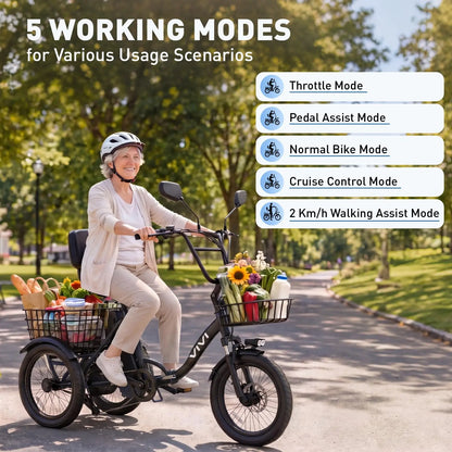 Vivi FatGo1 750W Electric Tricycle for Adults With Basket