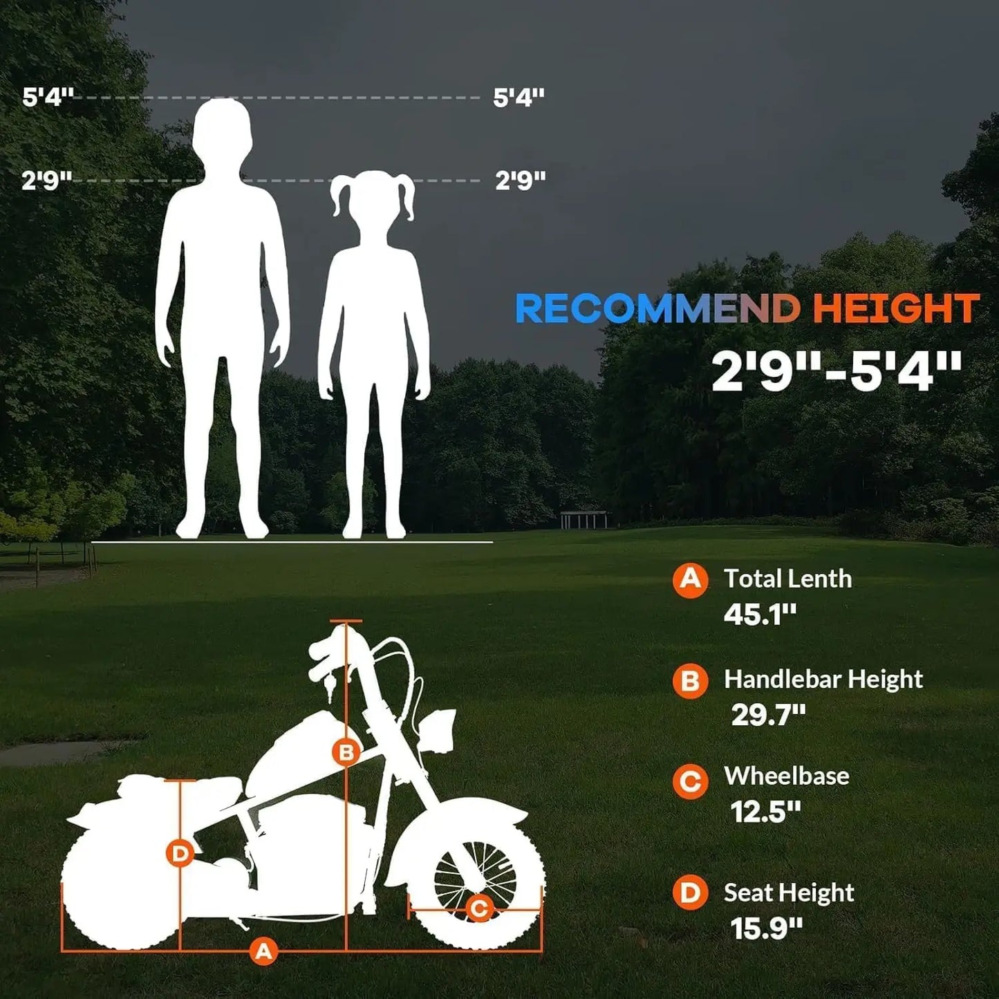 HiMISS Kids Electric Dirt Bike 24V 250W TwoSpeed 14 MPH