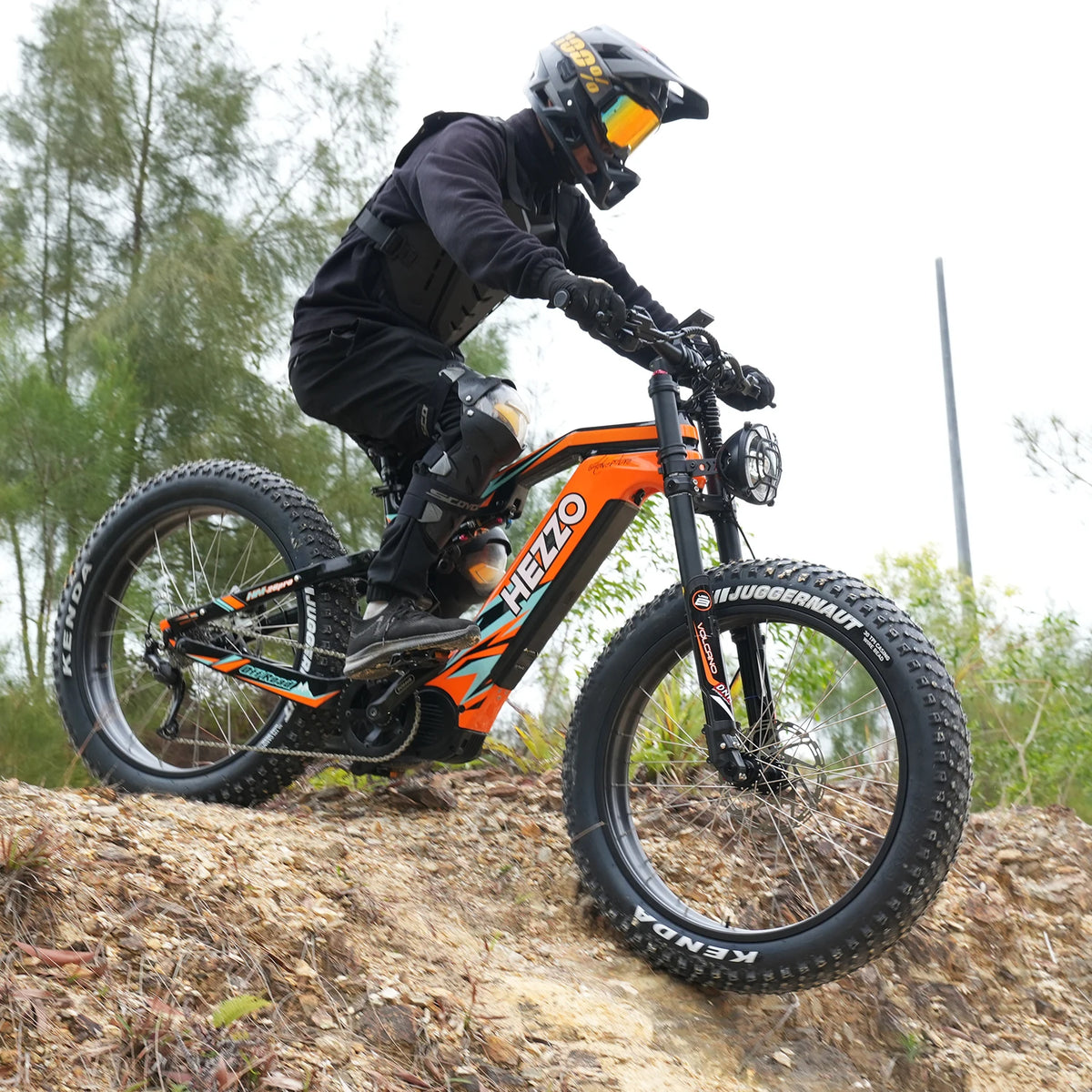Hezzo Carbon 1000W Bafang Mid Drive Fat Tire Electric Bicycle