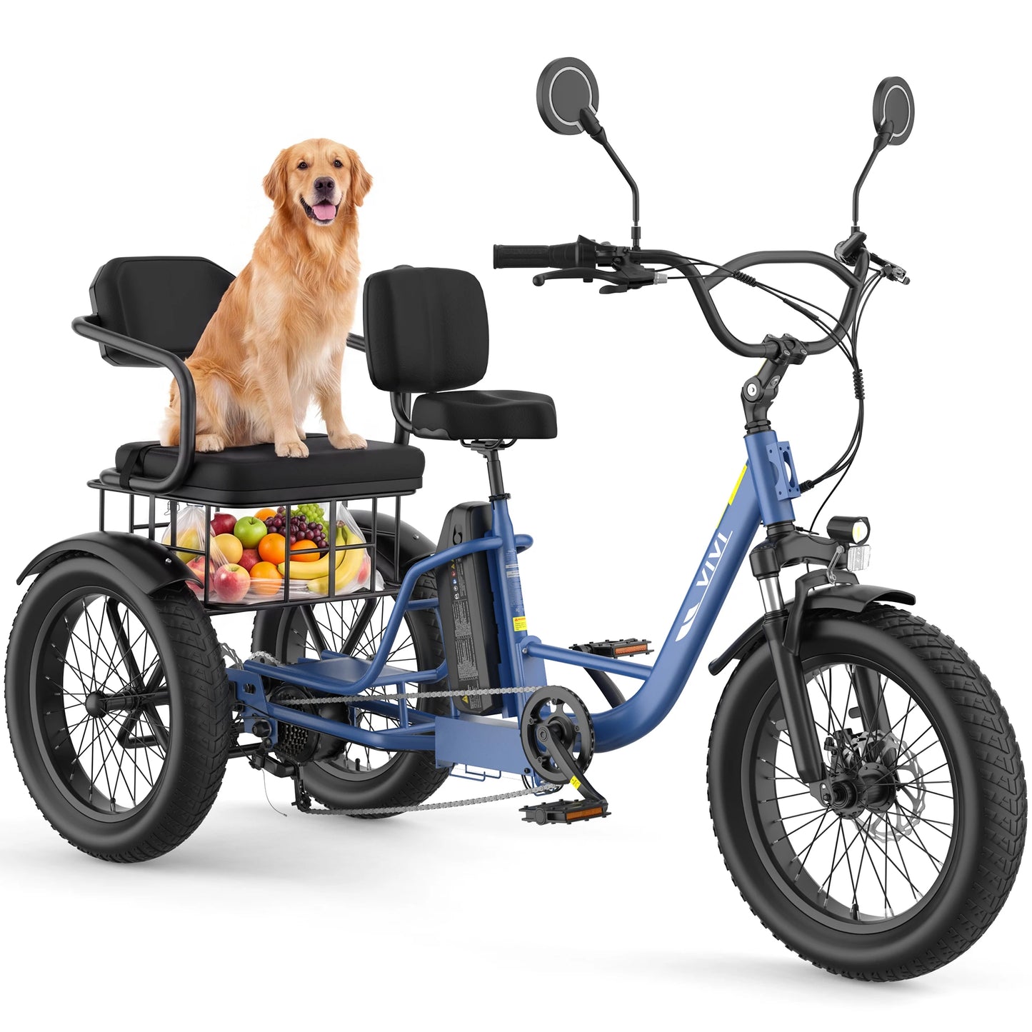 Vivi FAM01 750W Electric Tricycle For Adults With Battery