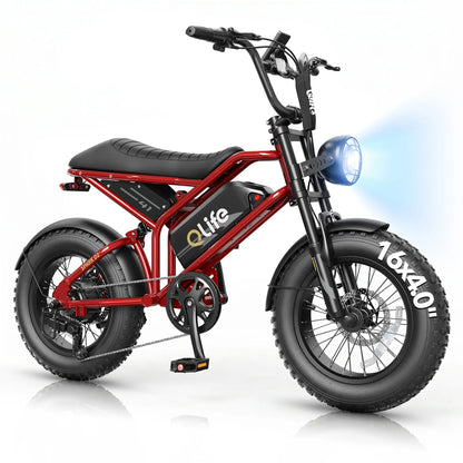 Qlife SPARK D2 EB41Plus Full-Suspension Fat Tire Electric Bike