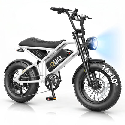 Qlife SPARK D2 EB41Plus Full-Suspension Fat Tire Electric Bike