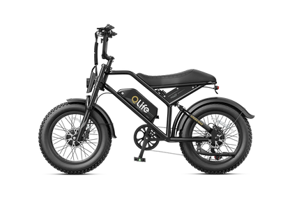 Qlife Spark Max Dual Motor Electric Fat Tire Mountain Bike