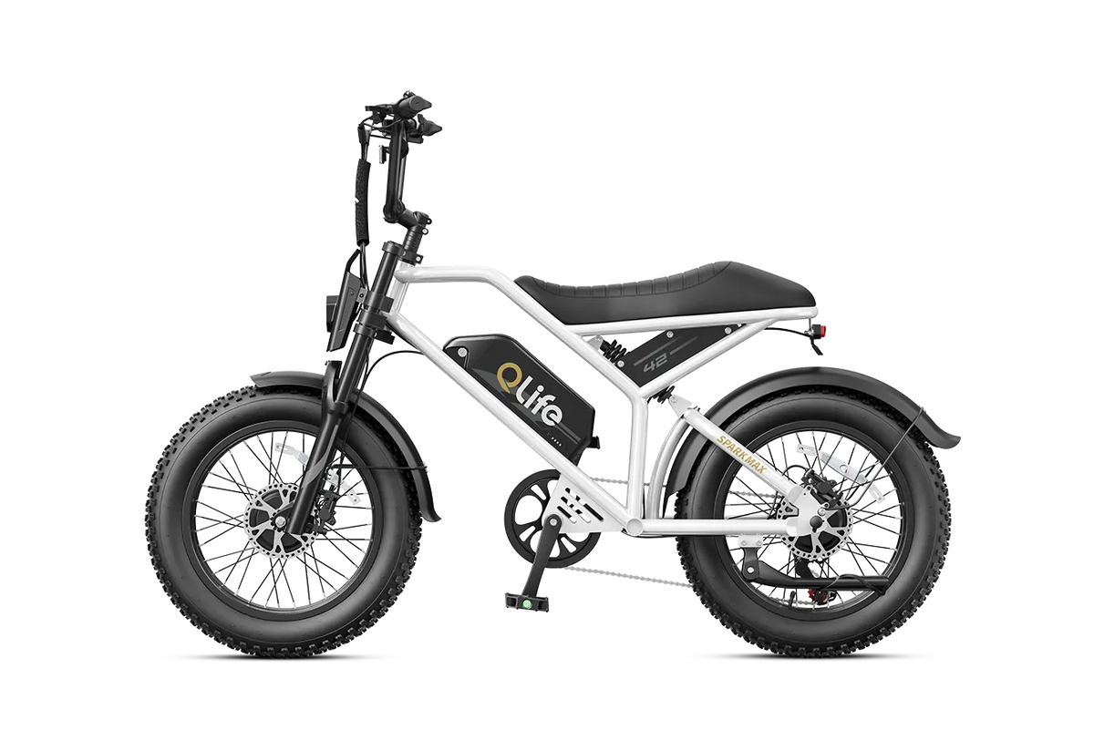 Qlife Spark Max Dual Motor Electric Fat Tire Mountain Bike