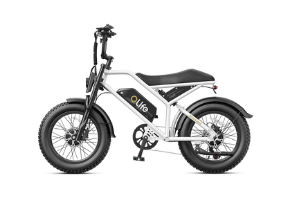 Qlife Spark Max Dual Motor Electric Fat Tire Mountain Bike