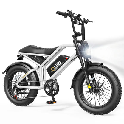 Qlife Spark Plus Full Suspension Fat Tire Electric Bike