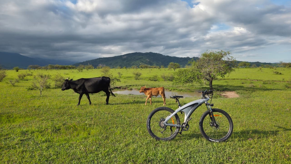 HUANCI Q5S & Q5U Electric Bikes | 1000W or 2000W
