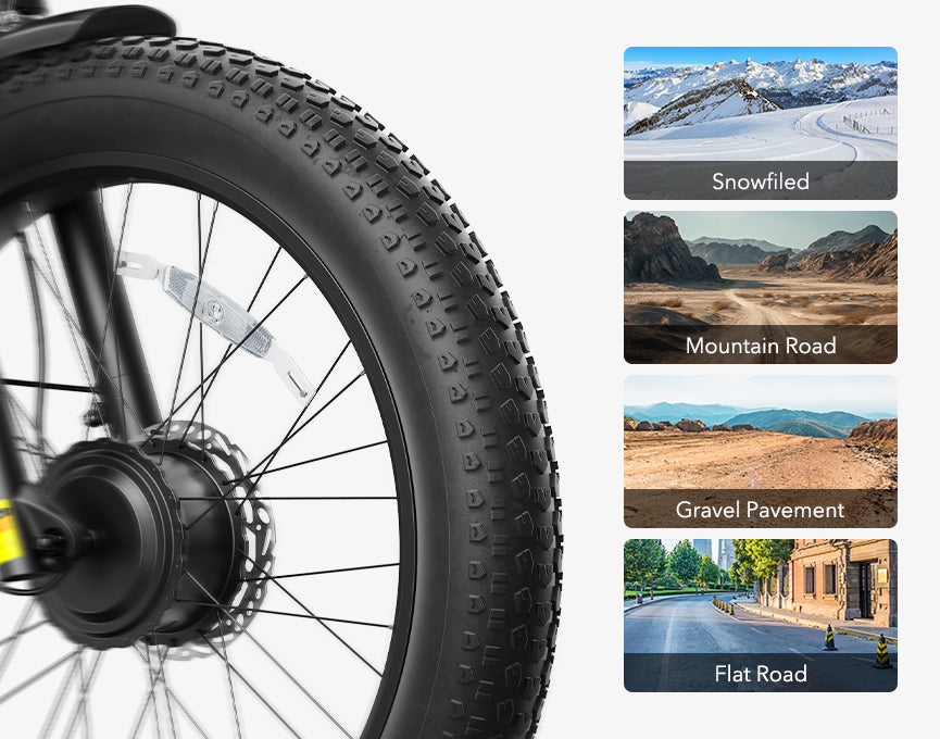 Qlife RACER MAX Dual Motor Fat Tire Electric Bike