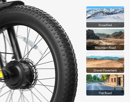 Qlife RACER MAX Dual Motor Fat Tire Electric Bike
