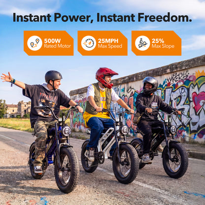 Qlife SPARK D1 EB41 Full-Suspension Fat Tire Electric Bike