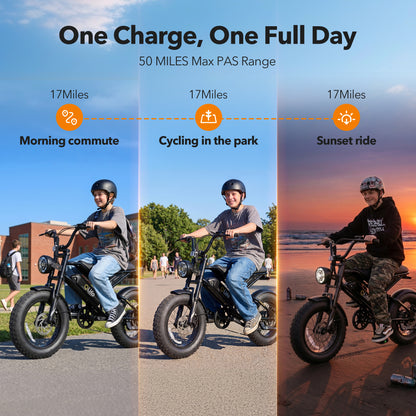 Qlife SPARK D1 EB41 Full-Suspension Fat Tire Electric Bike