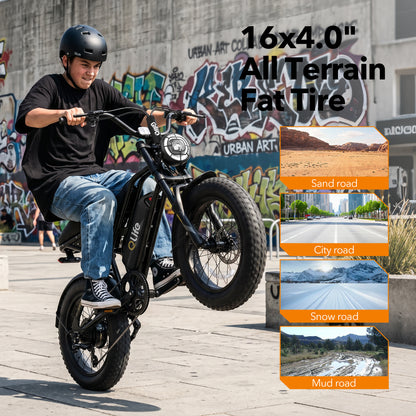 Qlife SPARK D1 EB41 Full-Suspension Fat Tire Electric Bike