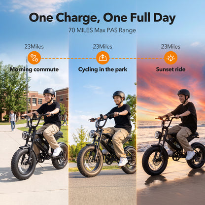Qlife SPARK D2 EB41Plus Full-Suspension Fat Tire Electric Bike