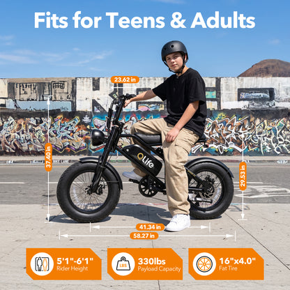 Qlife SPARK D2 EB41Plus Full-Suspension Fat Tire Electric Bike