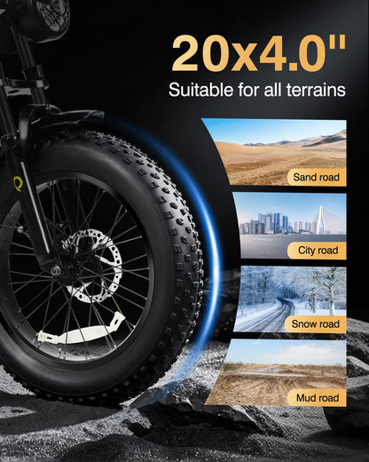 Qlife Spark Dual EB42Dual Dual Battery Fat Tire Electric Bike