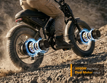 Qlife Spark Max Dual Motor Electric Fat Tire Mountain Bike