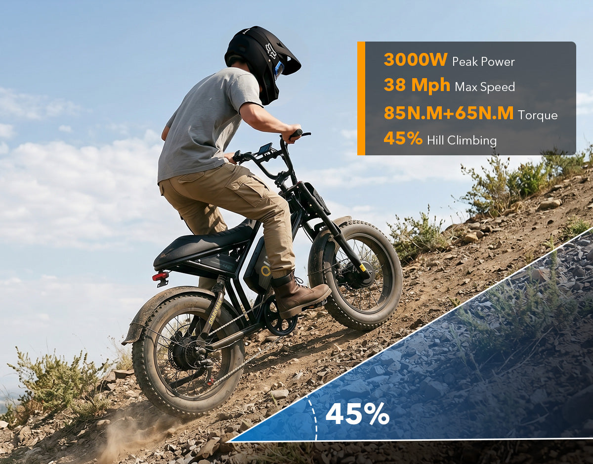 Qlife Spark Max Dual Motor Electric Fat Tire Mountain Bike
