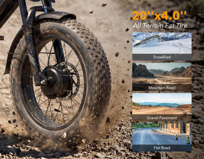 Qlife Spark Max Dual Motor Electric Fat Tire Mountain Bike